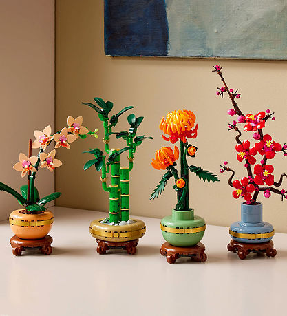 Botanicals
