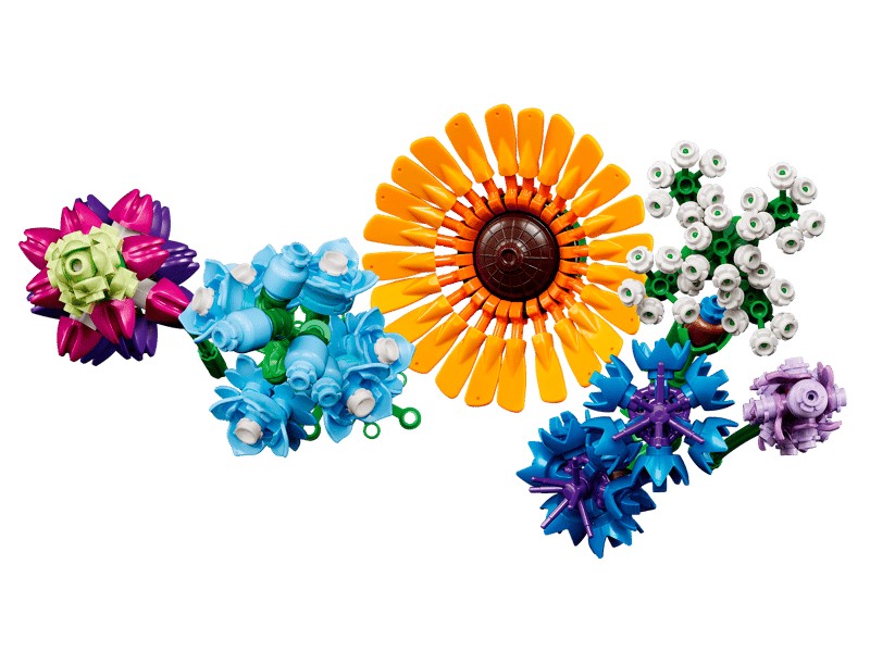Bouquet de fleurs sauvages