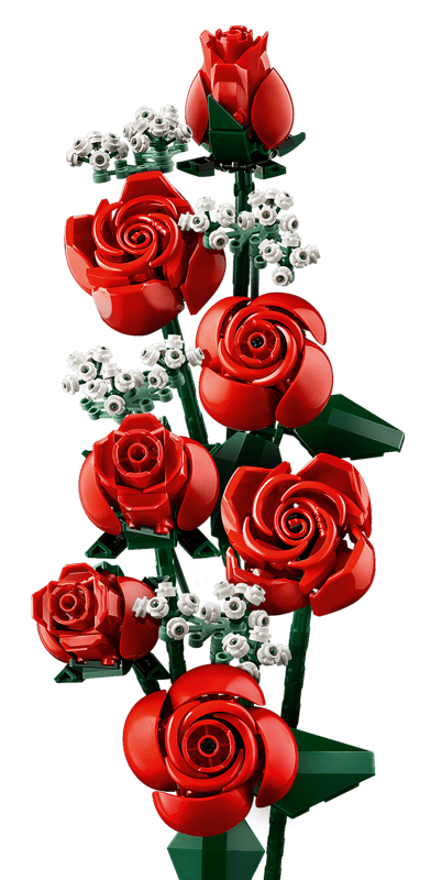 Bouquet of Roses