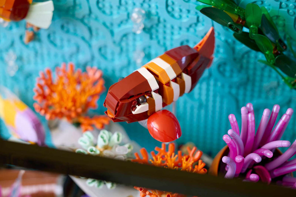 Tropical Aquarium
