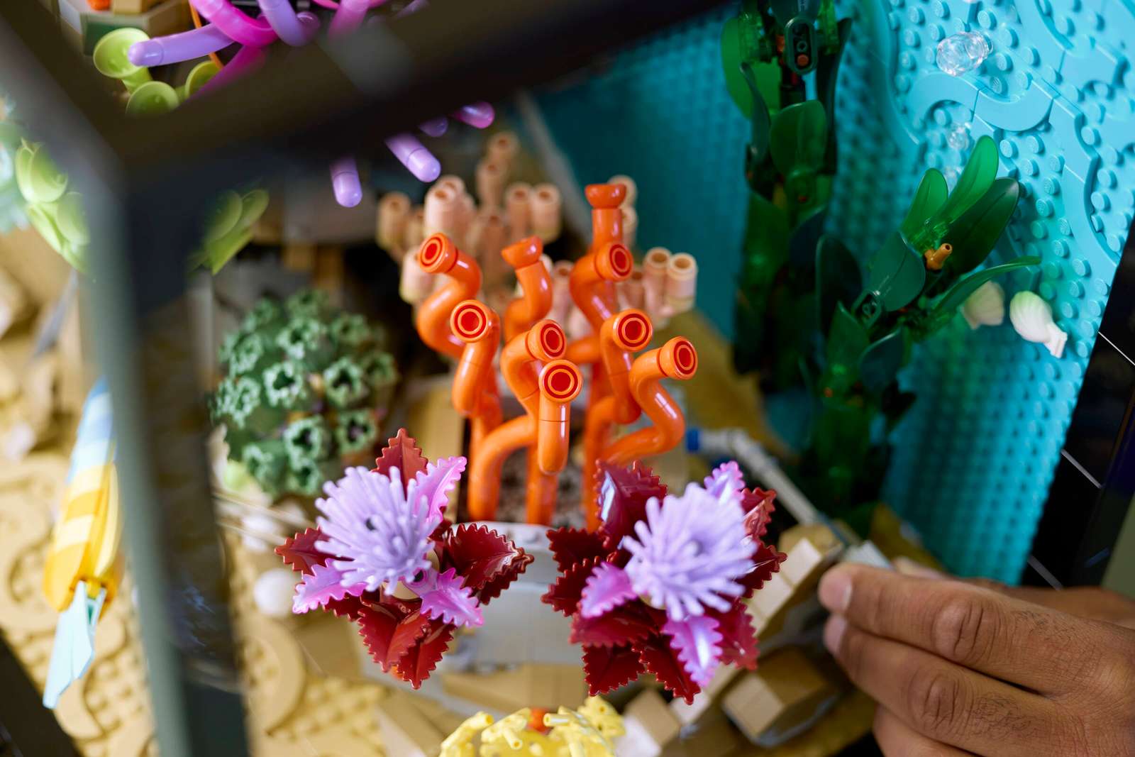 Tropical Aquarium