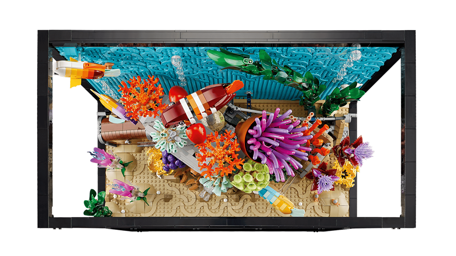 Tropical Aquarium