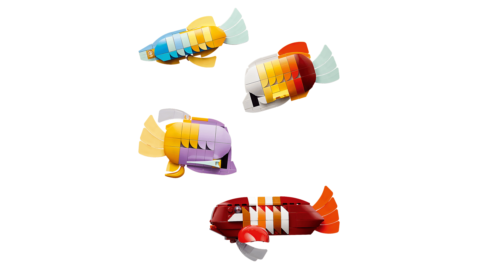 Tropical Aquarium