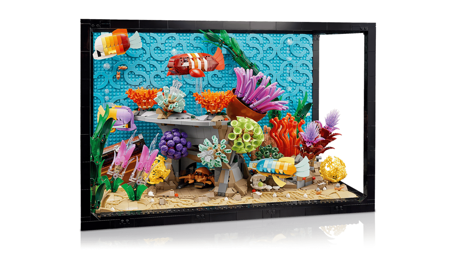 Tropical Aquarium