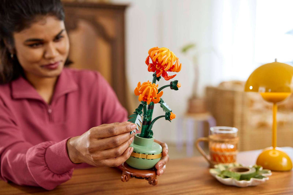 Chrysanthème