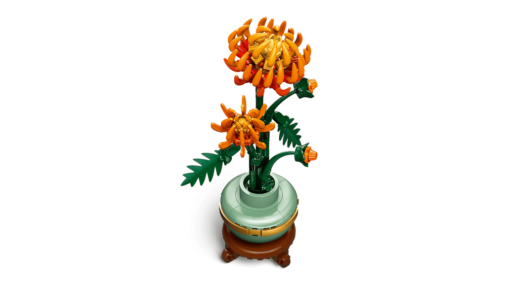 Chrysanthème