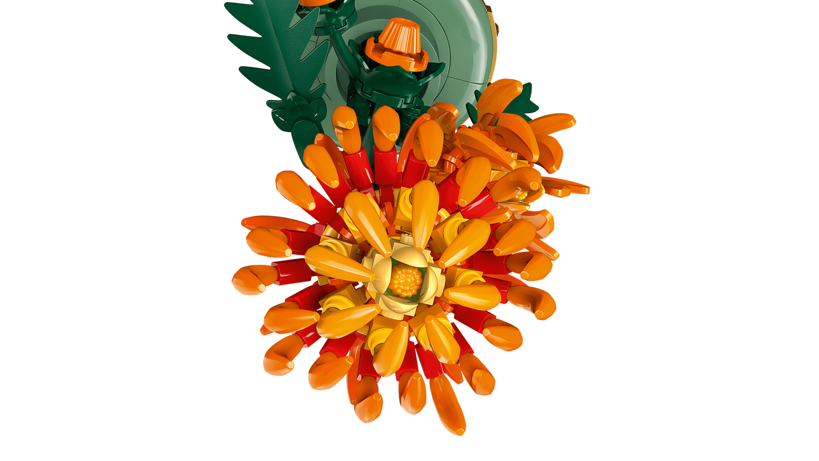 Chrysantheme