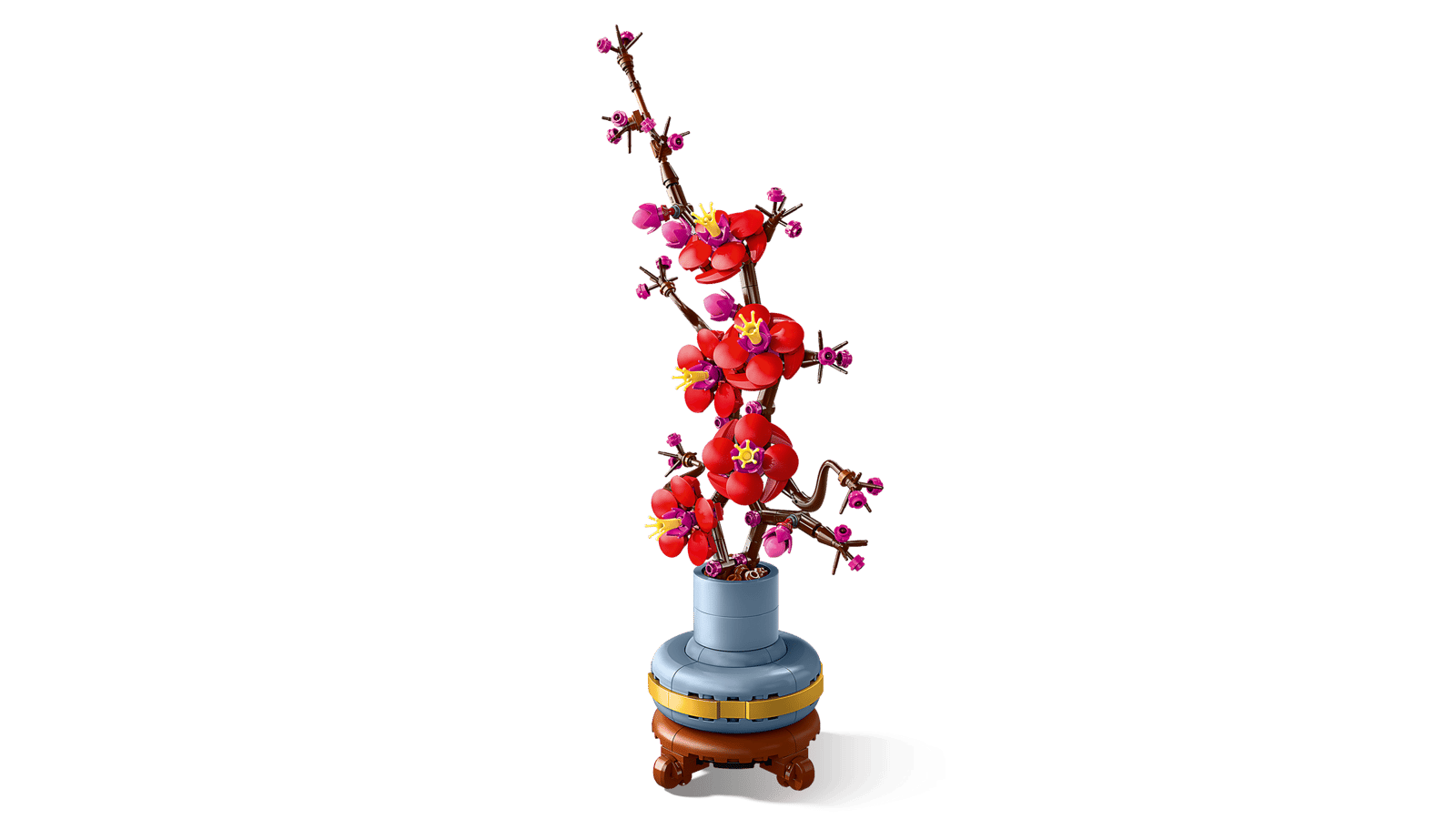 Plum Blossom