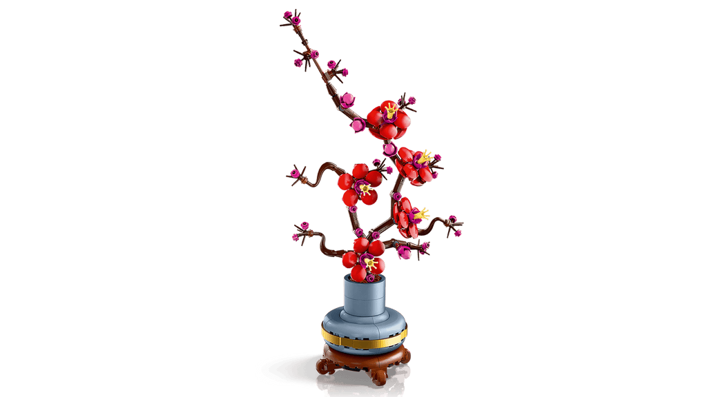 Plum Blossom