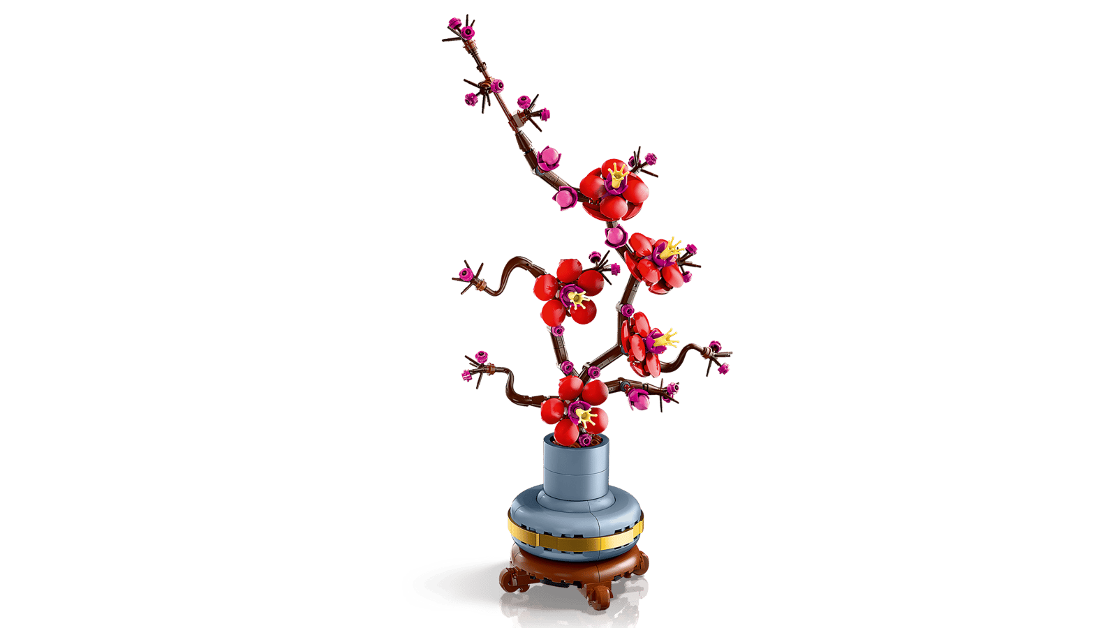 Plum Blossom