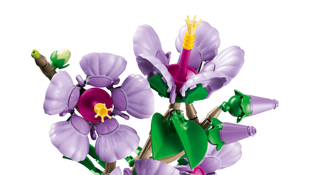 Hibiscus