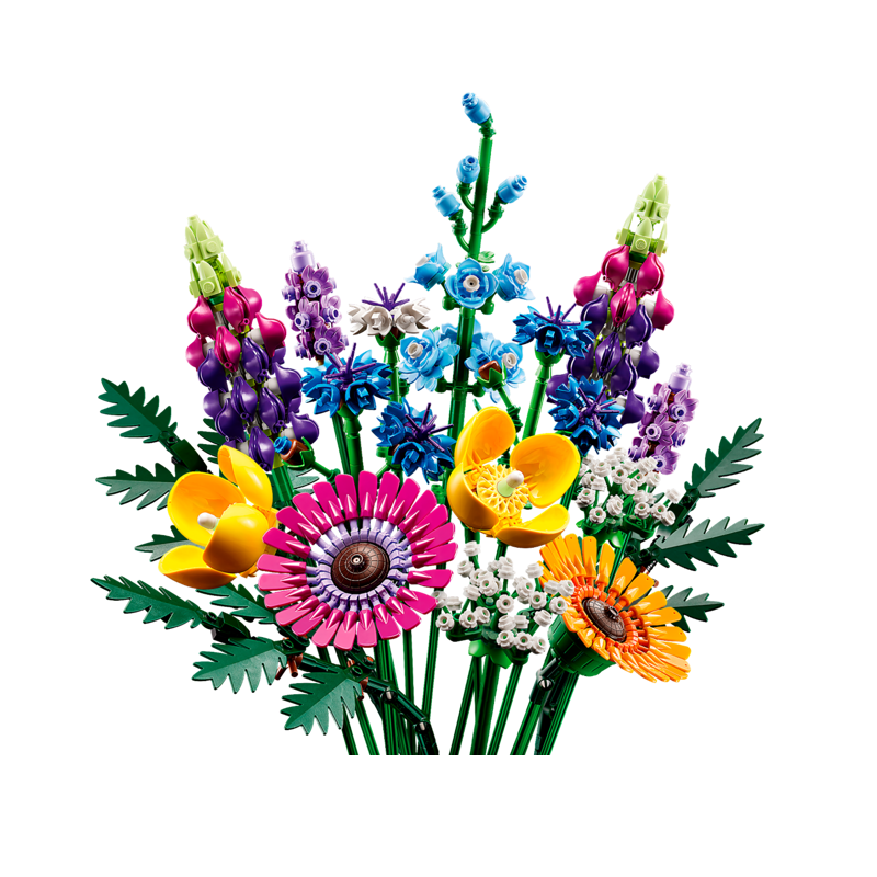 Bouquet de fleurs sauvages